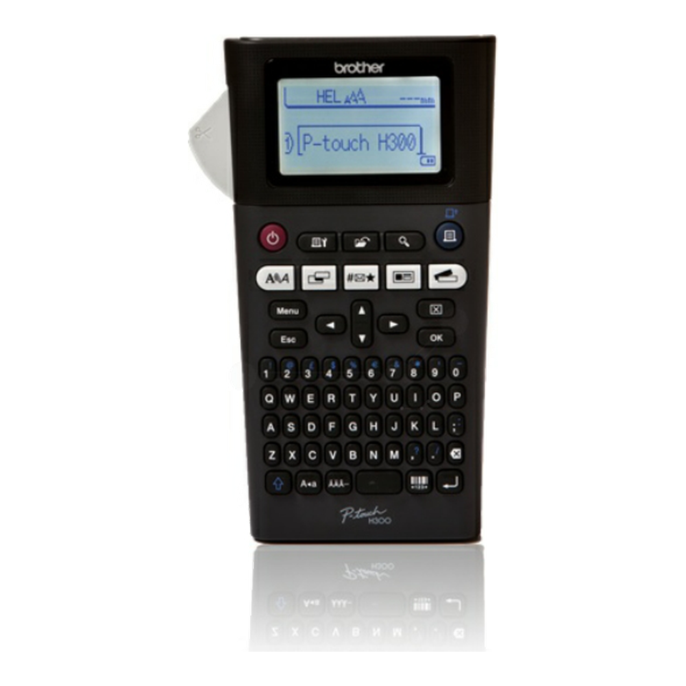 Brother P-Touch H300