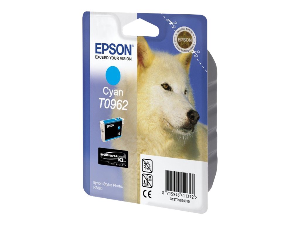 Original Epson T0962 | C13T09624010 Tintenpatrone Cyan ( 2024 )
