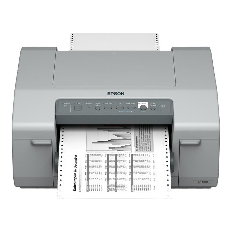 Epson GP-M 831