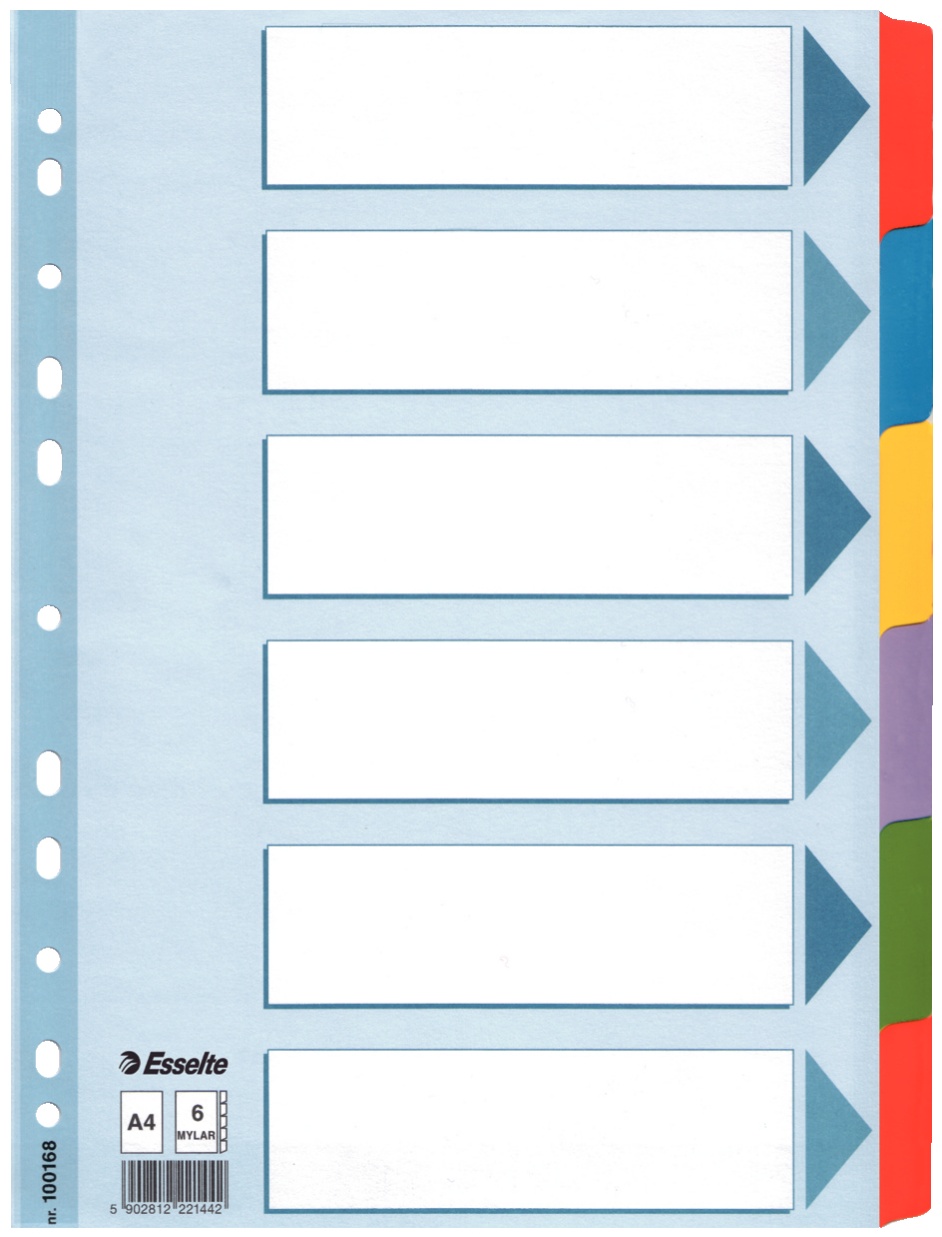 Esselte Register | DIN A4 | blanko · 6-teilig | Mehrfarbig