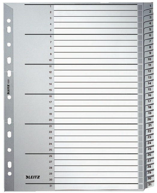 Leitz Register 1281 | DIN A4 | 1-31 · 31-teilig | Grau