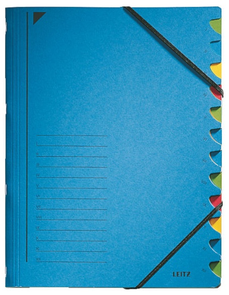Leitz Ordnungsmappe 3912 | DIN A4 | 12 Fächer | Blau | Karton