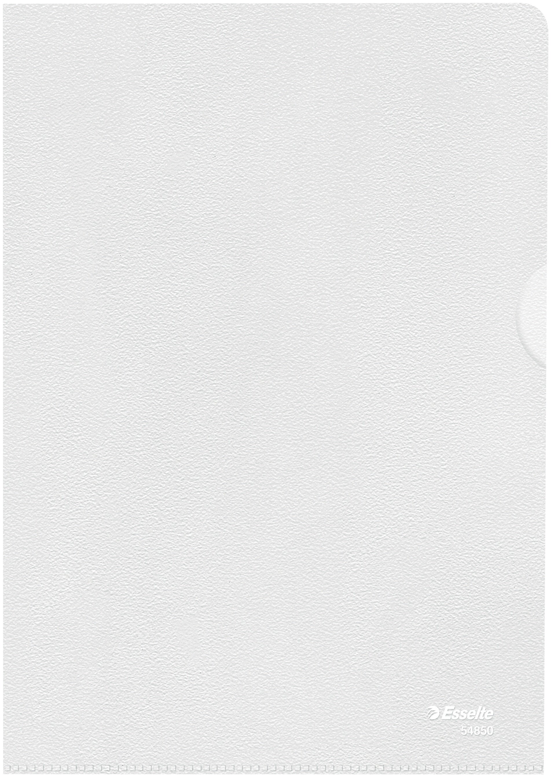 Esselte Sichthülle Standard Plus | DIN A5 | genarbt | 0,12 mm | 100er-Pack