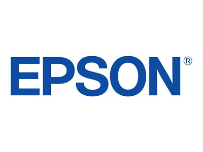 Original Epson T55W9 | C13T55W900 Tinte hell Grau