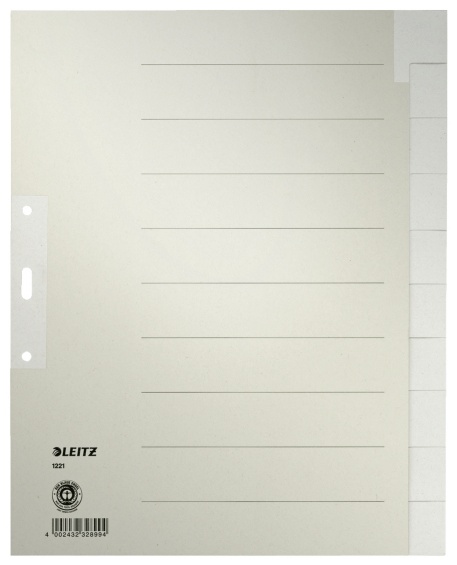 Leitz Register | DIN A4+ | blanko · 10-teilig | Grau