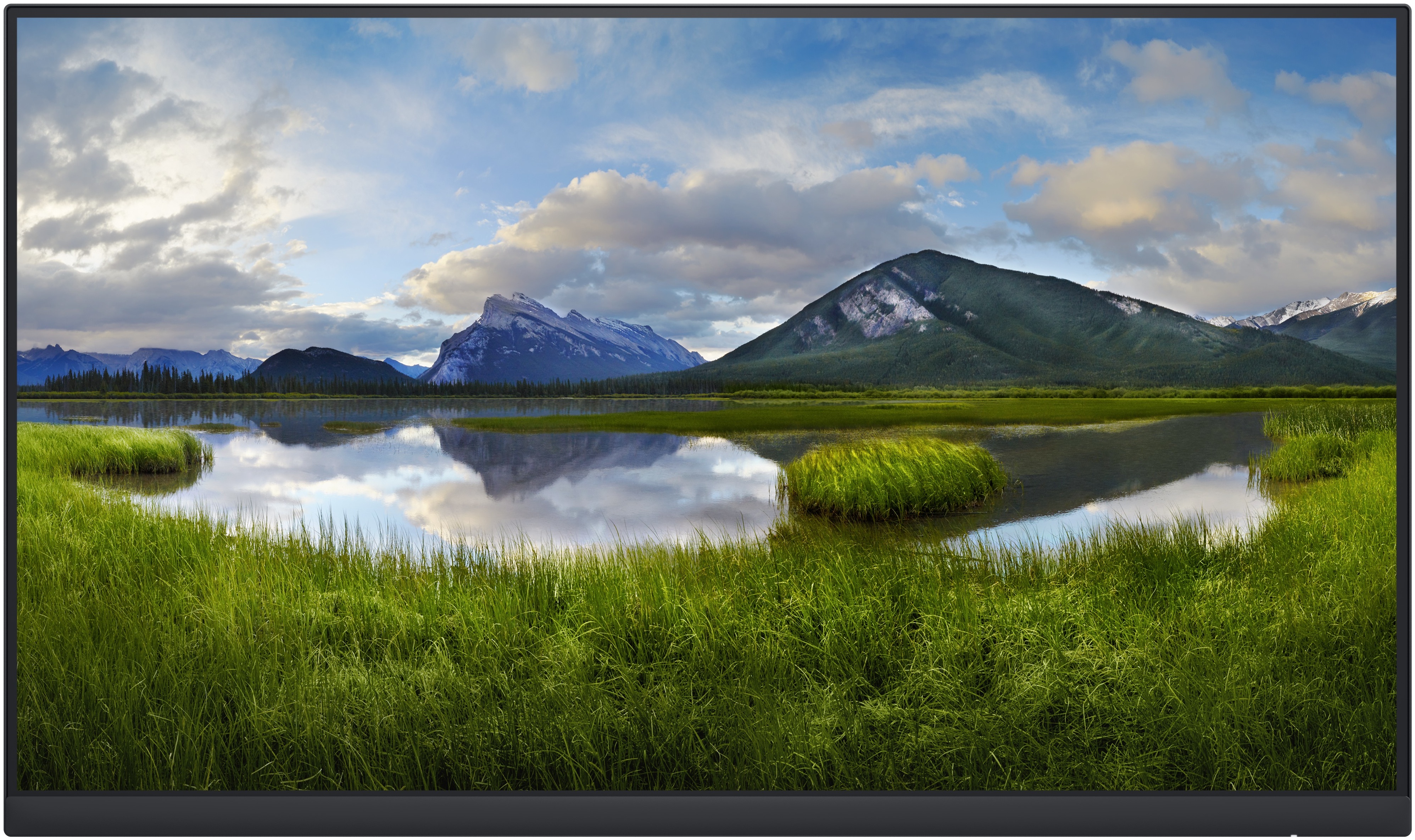 Dell P Series | P2422H_WOST Monitor 23,8 zoll | 60,5 cm | Full HD | 1920 x 1080 | Schwarz