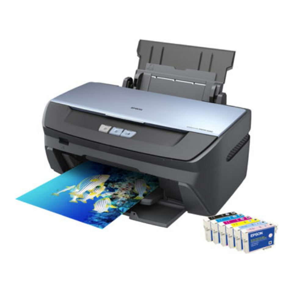 Epson Stylus Photo R265